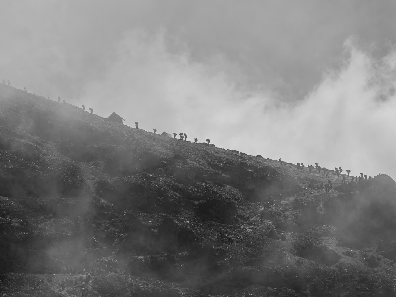 Mist moving across a Kilimanjaro forest slope.