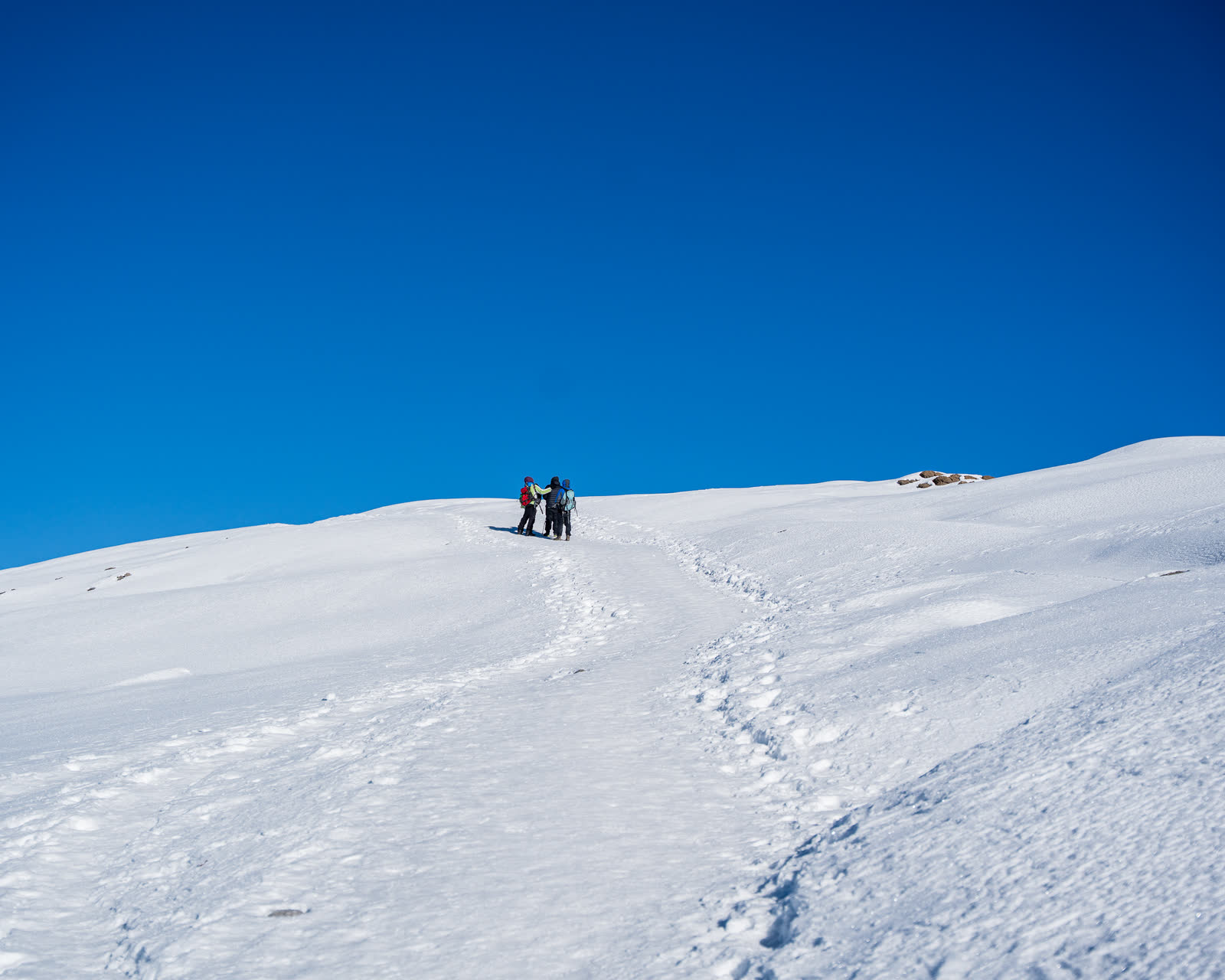 A trekker crossing Kilimanjaro summit snow.