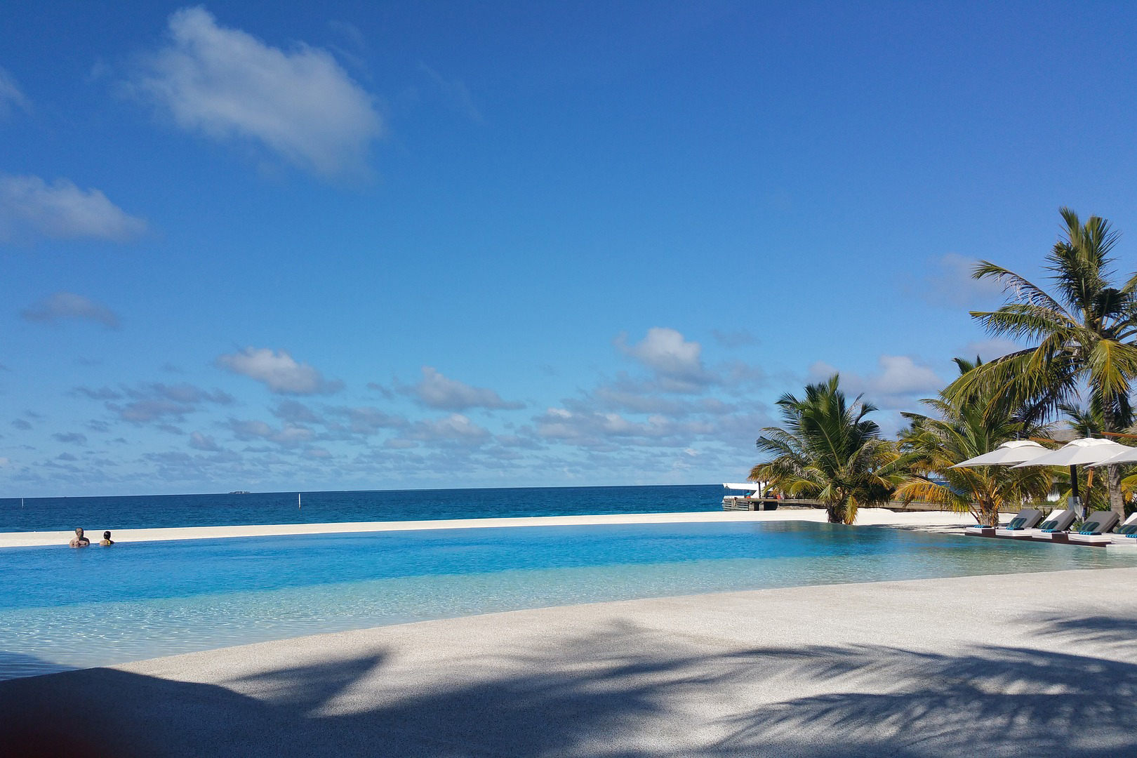Palm-lined beach and bright pool on a tropical coast.