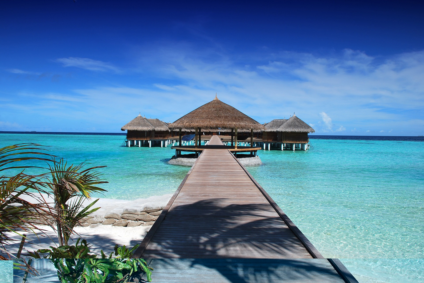 Overwater bungalows above clear Indian Ocean water.